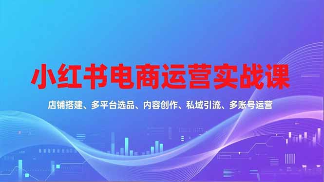 小红书电商运营实战课，店铺搭建、多平台选品、内容创作、私域引流、多账号运营等玩法-八百库