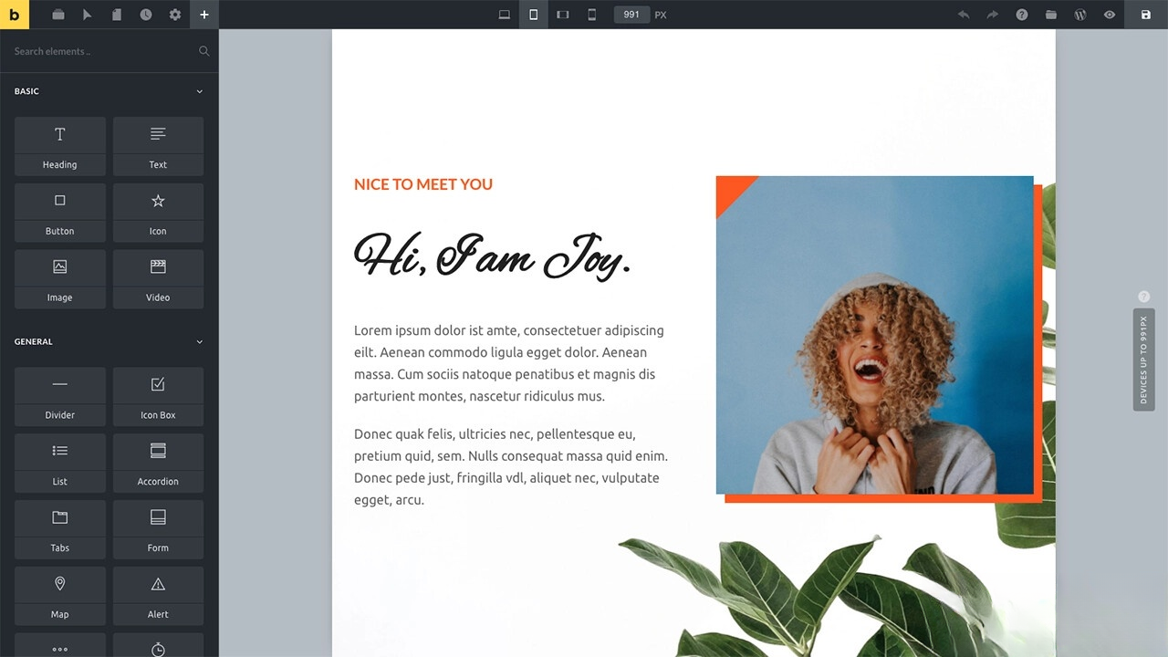 WordPress主题Bricks v1.9 破解版-八百库