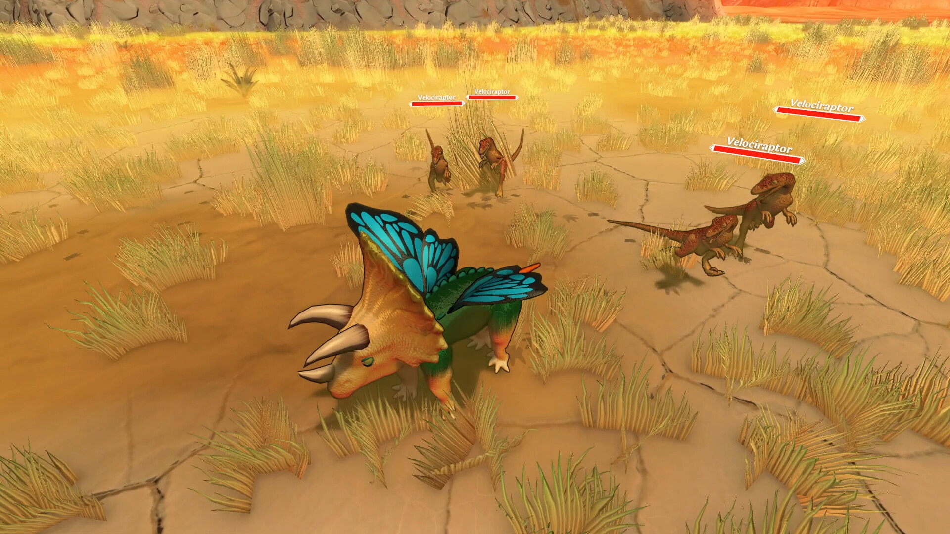 奇异种子/Strange Seed 奇异种子/Strange Seed