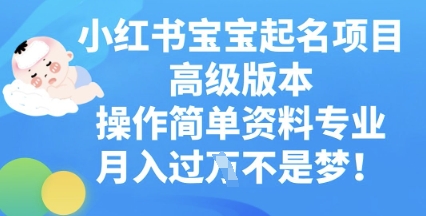小红书宝宝起名项目高级版本,操作简单,资料专业,月入过W-八百库