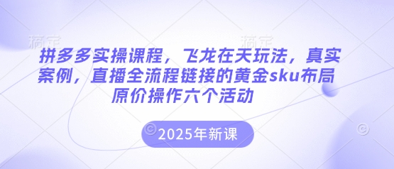 拼多多实操课程,飞龙在天玩法,真实案例,直播全流程链接的黄金sku布局原价操作六个活动-八百库