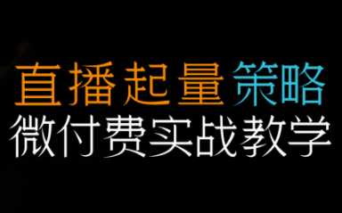 半野老师·直播带货起量与微付费必学课视频号-八百库