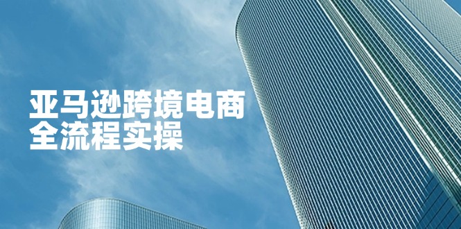 （14252期）亚马逊跨境电商全流程实操，教你从零开始，掌握店铺运营与广告技巧-八百库