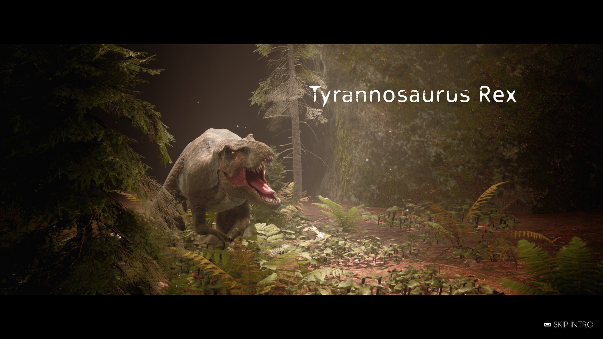 骨之王者/King of Bones-八百库