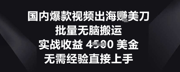 国内爆款视频出海挣美刀,批量无脑搬运,实战收益4.5k,无需经验直接上手-八百库