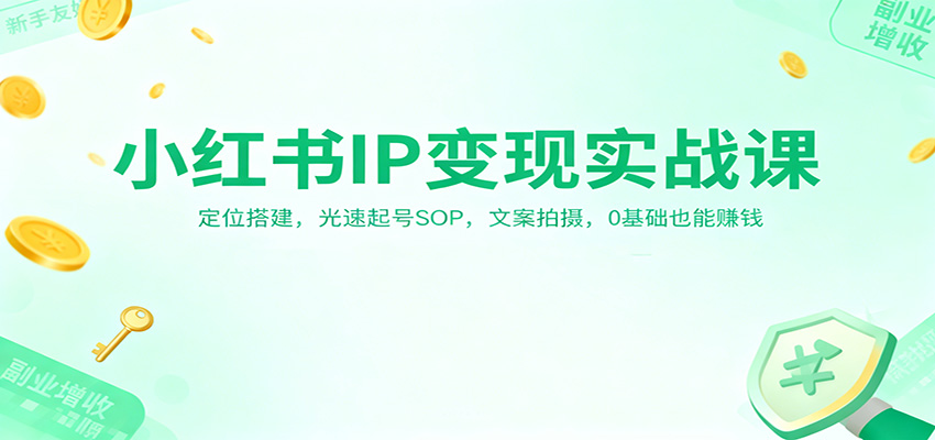 小红书IP变现实战课：定位搭建，光速起号SOP，文案拍摄，0基础也能赚钱-八百库