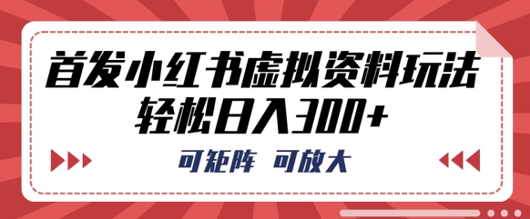 首发小红书虚拟资料玩法，可矩阵，可放大，轻松日入3张-八百库