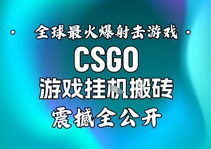 【年底大揭秘】基于全球最火爆的射击CSGO游戏挂G搬砖,日入5张+,震撼公开-八百库