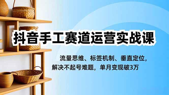 （16667期）抖音手工赛道运营实战课，流量思维、标签机制、垂直定位，解决不起号难题，单月变现破3万-八百库