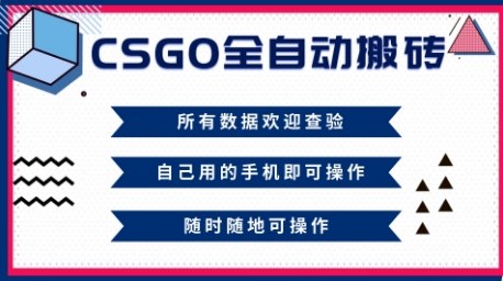 CSGO全自动搬砖,年底钱回家好项目,当天可拿到结果,新手小白轻松月入1W+【揭秘】-八百库