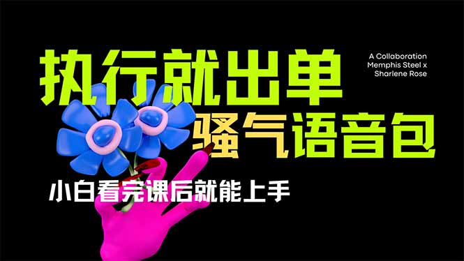 (14170期)爆火全网的开车导航骚气语音包,只要执行就出单,小白看完课程就能实操...-八百库