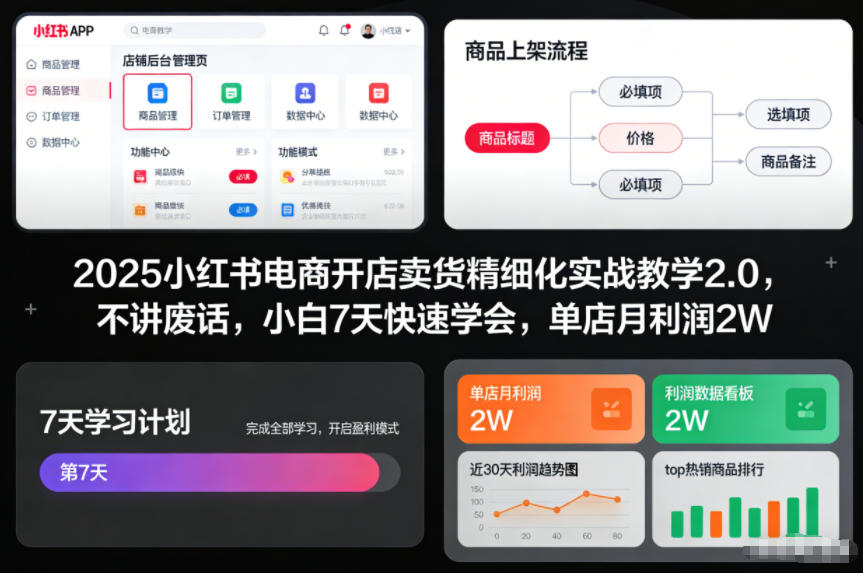 2025小红书电商开店卖货精细化实战教学2.0，不讲废话，小白7天快速学会，单店月利润2W-八百库
