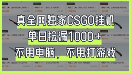 真全网独家CSGO挂G，单日捡漏1k+【揭秘】-八百库