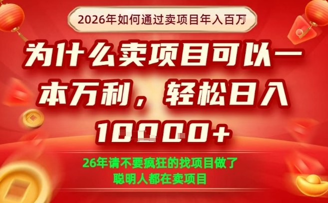 一单净利润1K+，26年想年入100个W，死磕卖项目就够了【揭秘】-八百库