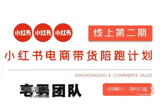 小红书电商带货课2期，月利润20个的小红书电商的有货源，无货源，虚拟产品，付费投流等整套玩法-八百库