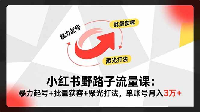 （16513期）小红书野路子流量课：暴力起号+批量获客+聚光打法，单账号月入3万+-八百库